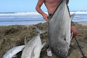 Fishing off Mozambique coast