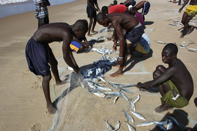 Mozambique fishing beaches